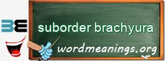 WordMeaning blackboard for suborder brachyura
